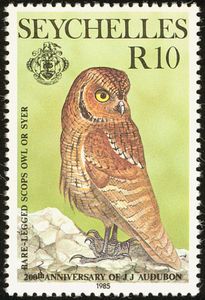 Sello Seychelles Scops Owl (Otus insularis) (Seychelles(John James